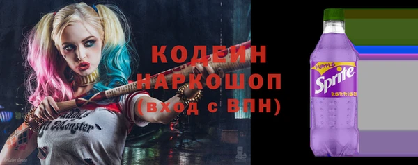 молекула духа Козельск