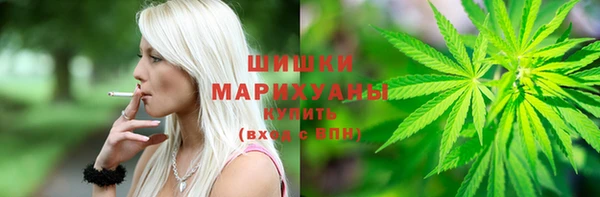 молекула духа Козельск