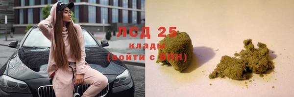 молекула духа Козельск