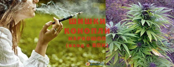 молекула духа Козельск