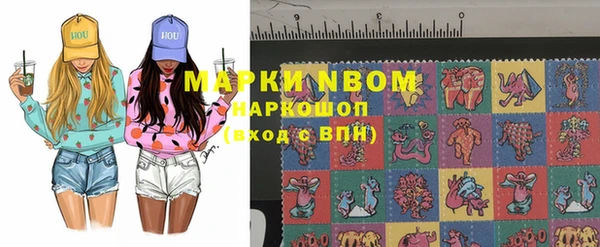 молекула духа Козельск