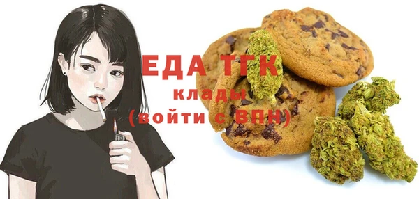 молекула духа Козельск