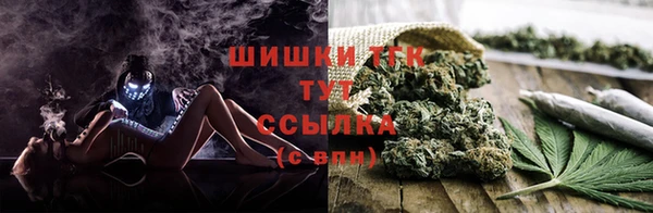 молекула духа Козельск