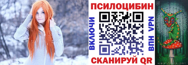 Купить закладки  Вышний Волочёк  Галлюциногенные грибы мицелий 